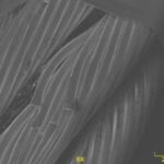 Low SEM Image of fractured wires